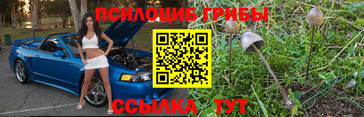 Галлюциногенные грибы Magic Shrooms  Галлюциногенные грибы GOLDEN TEACHER  Вход с VPN  Королёв 